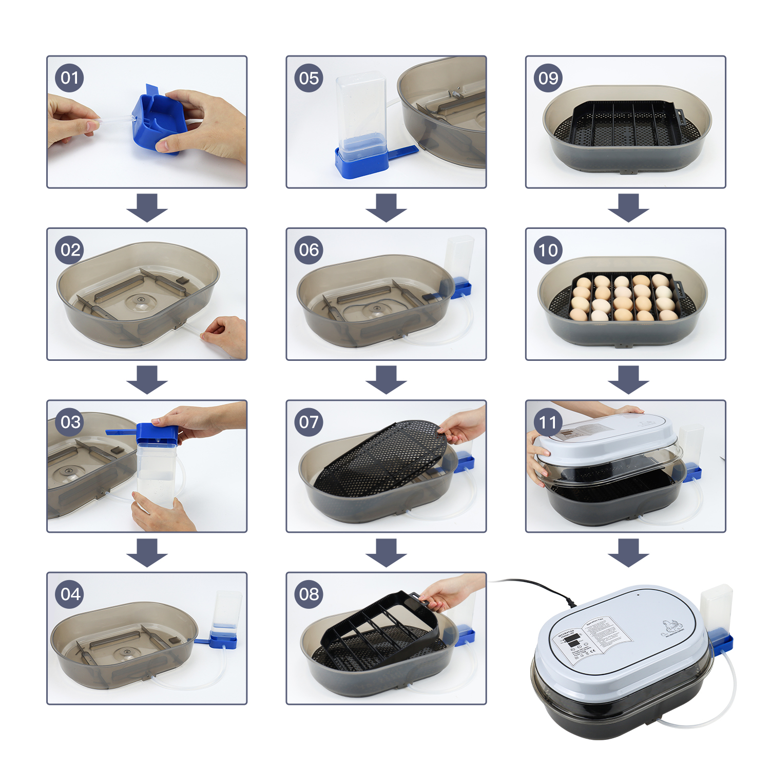 Petit incubateur d'œufs de 18 œufs, rotation automatique pour poulet, canard, caille